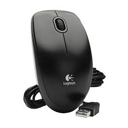 RATON LOGITECH B100 OEM...